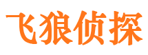 合浦市婚姻出轨调查